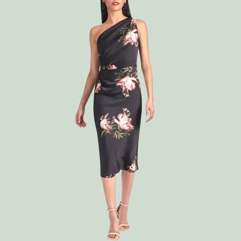 Sachin & Babi Carmen Dress in the Noir Blossom floral print Satin Dress Size 12